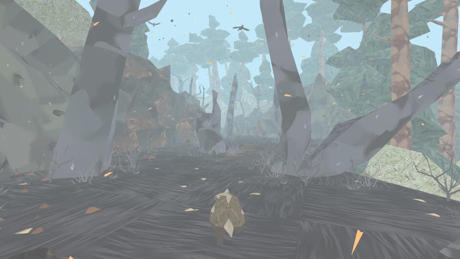 Capture de Shelter