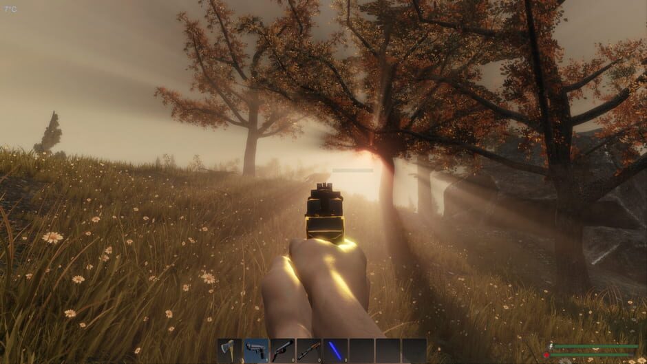 Capture de Subsistence