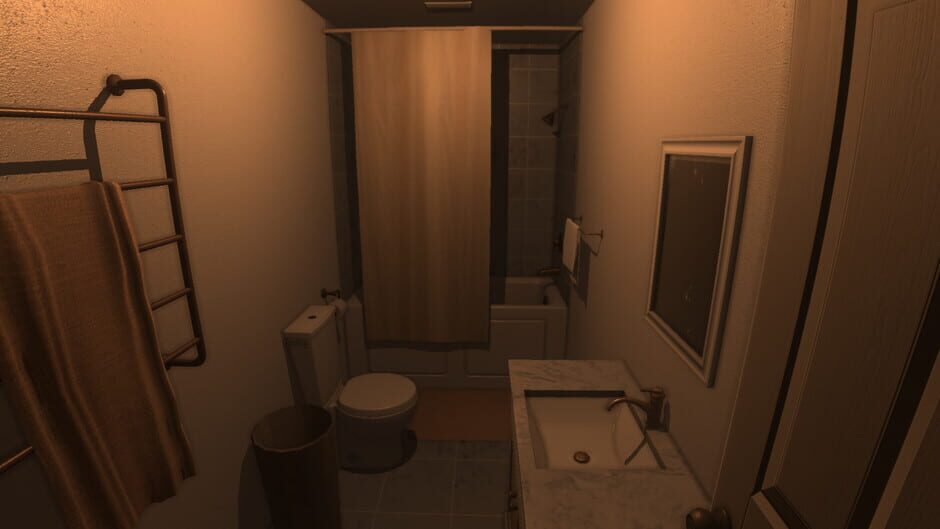 Capture de The Survey