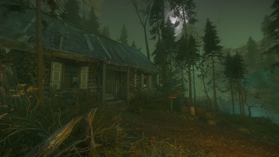 Capture de The Cursed Forest