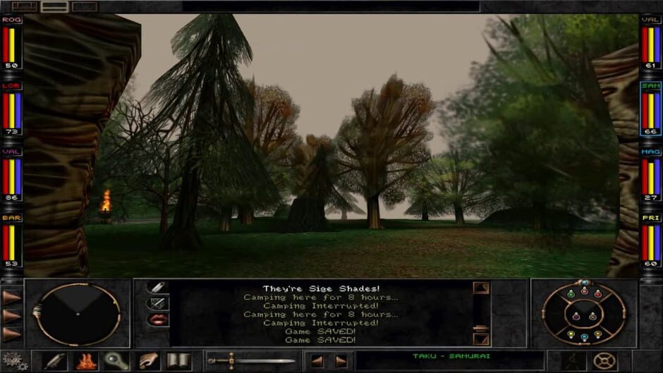 Capture de Wizardry 8