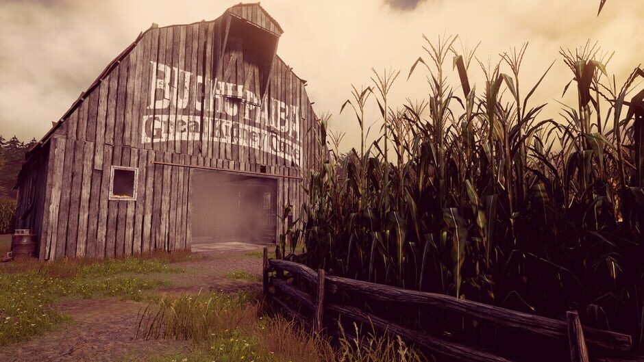 Capture de Maize