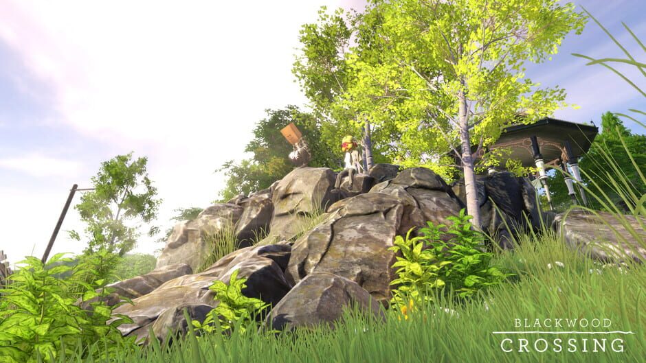 Capture de Blackwood Crossing