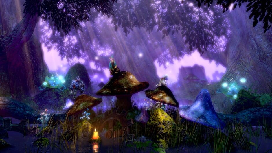 Capture de Trine Enchanted Edition