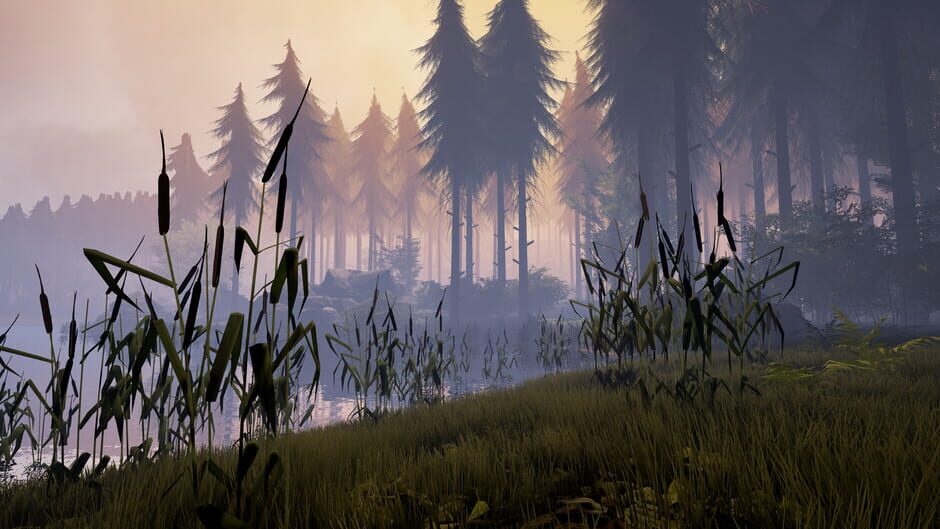 Capture de Bigfoot