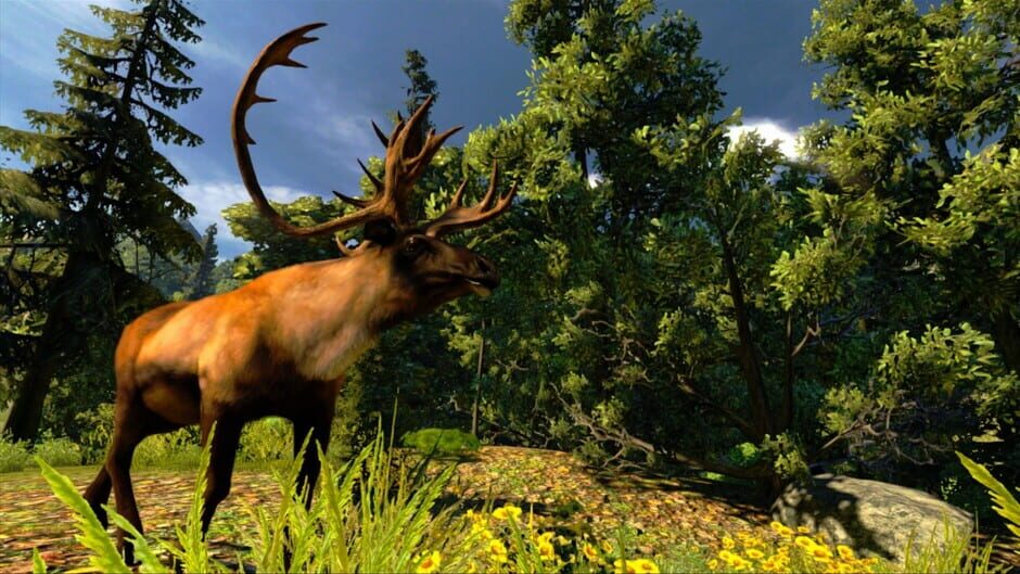 Capture de Cabela's Hunting Expeditions