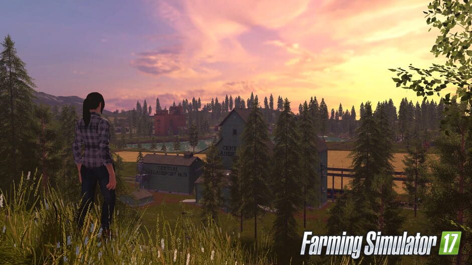 Capture de Farming Simulator 17