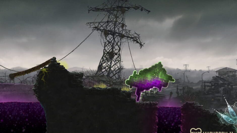 Capture de Mushroom 11