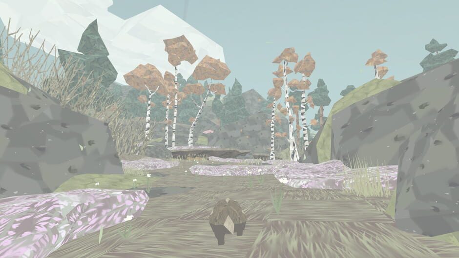 Capture de Shelter
