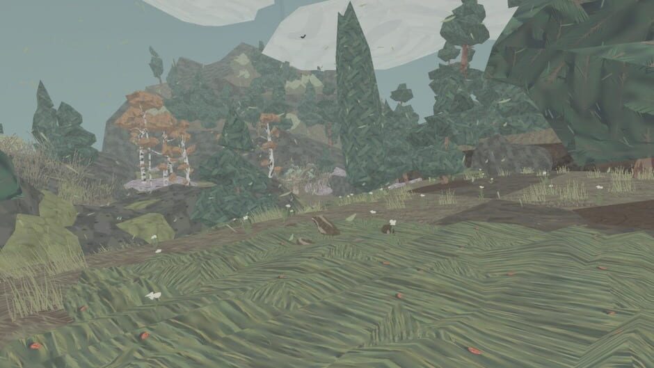 Capture de Shelter
