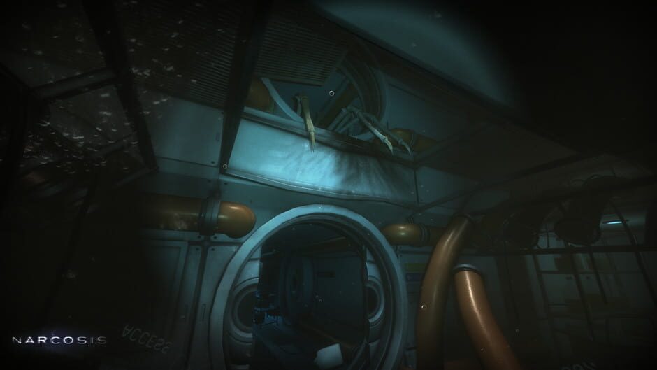 Capture de Narcosis