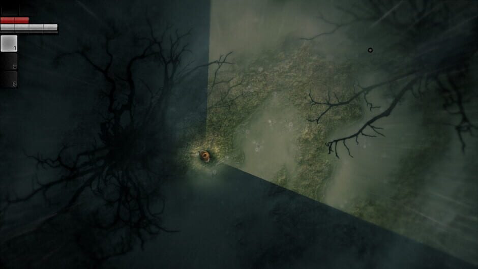 Capture de Darkwood
