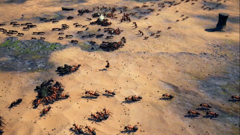Capture d’Empires of the Undergrowth