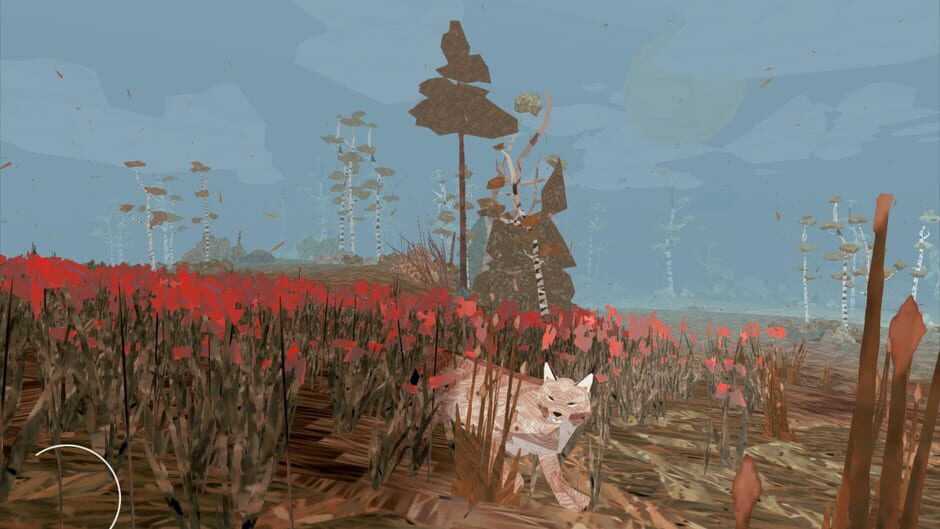 Capture de Shelter 2