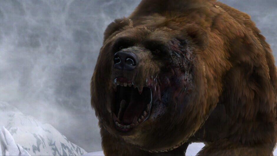 Capture de Cabela's Dangerous Hunts 2013