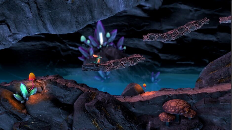 Capture de Macrotis: A Mother's Journey