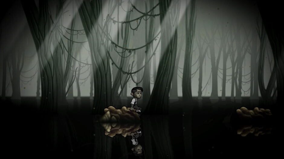 Capture de Schein