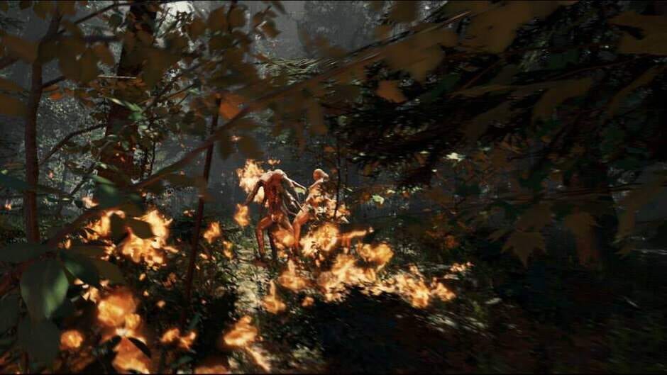 Capture de The Forest
