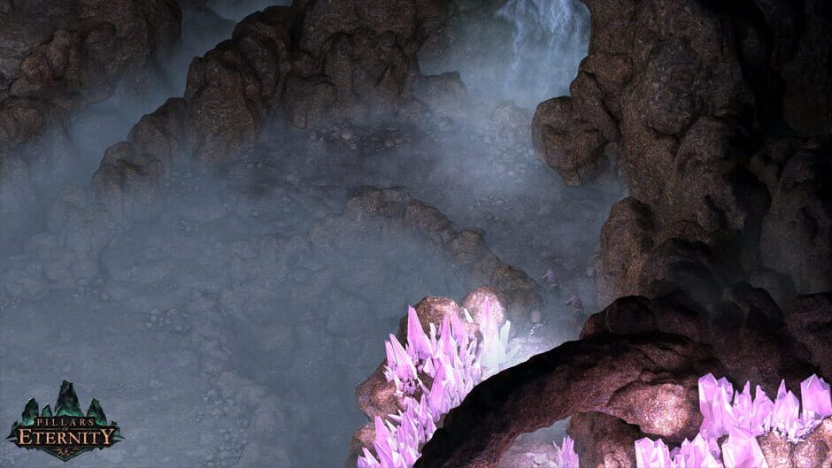 Capture de Pillars of Eternity