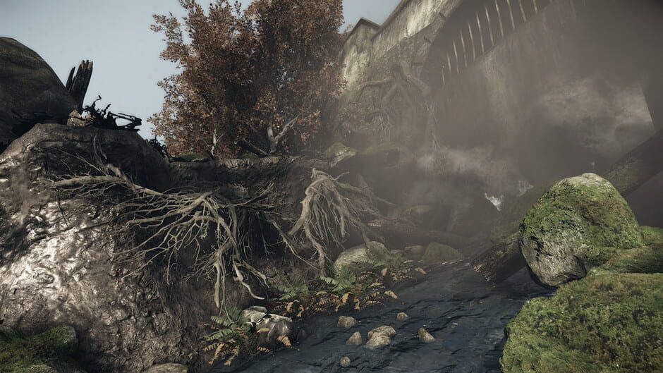 Capture de The Lost Valley