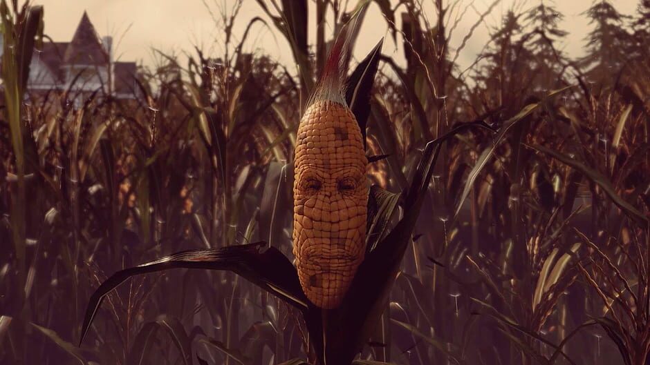 Capture de Maize