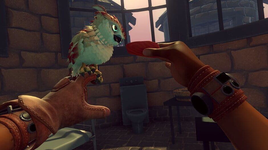 Capture de Falcon Age