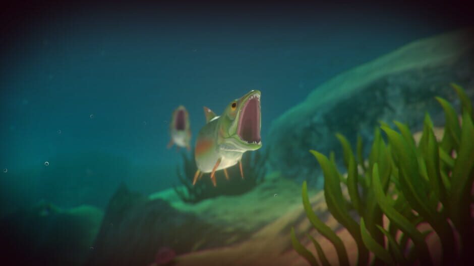 Capture de Feed and Grow: Fish
