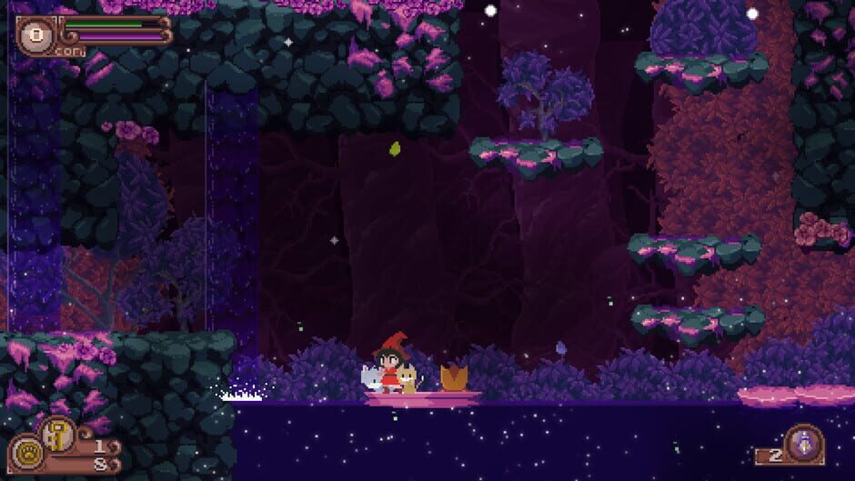 Capture de Catmaze
