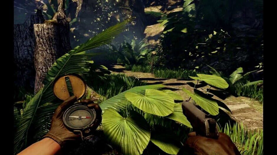 Capture de Deadfall Adventures