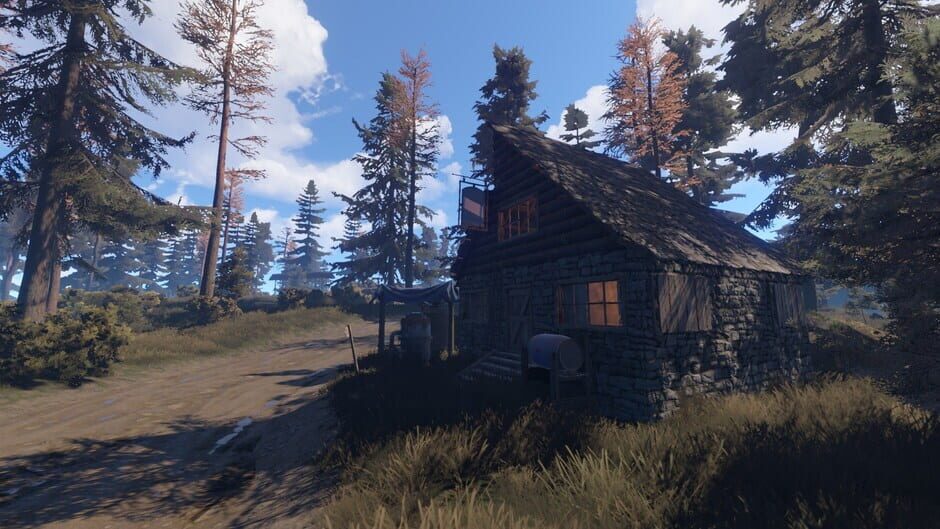 Capture de Rust
