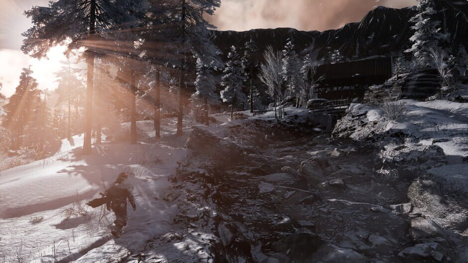 Capture de Fade to Silence