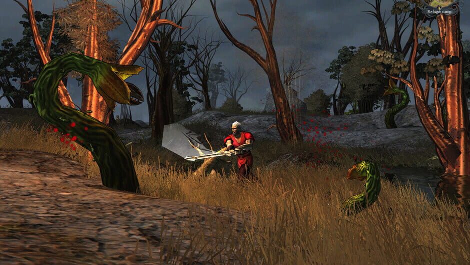 Capture de Silverfall