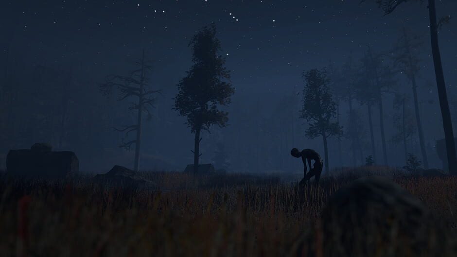 Capture de Through the Woods