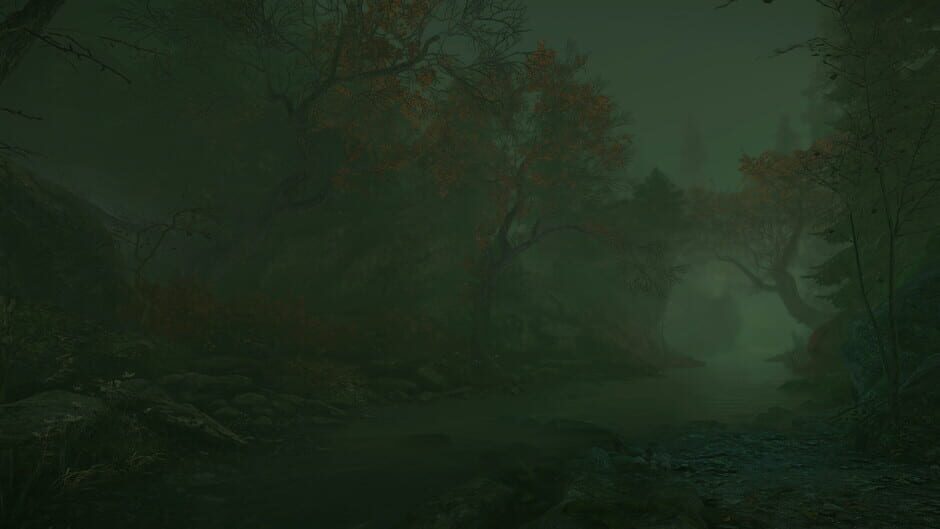 Capture de The Cursed Forest