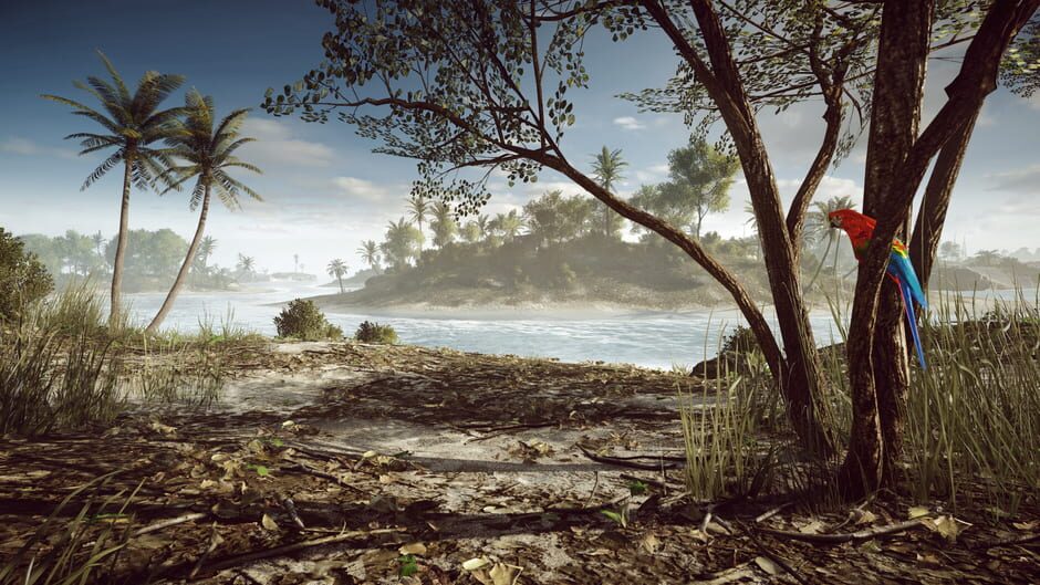 Capture de Battlefield 4