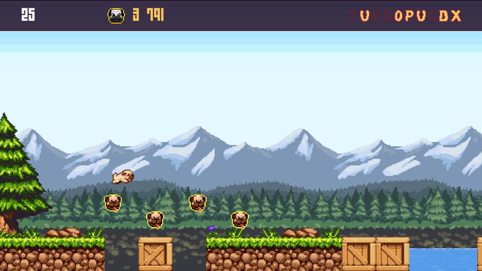 Capture de Turbo Pug DX