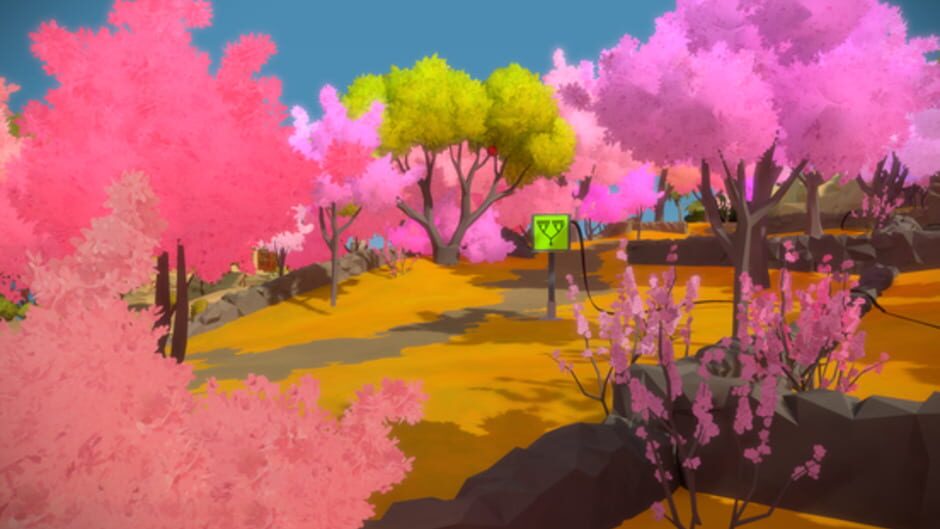 Capture de The Witness