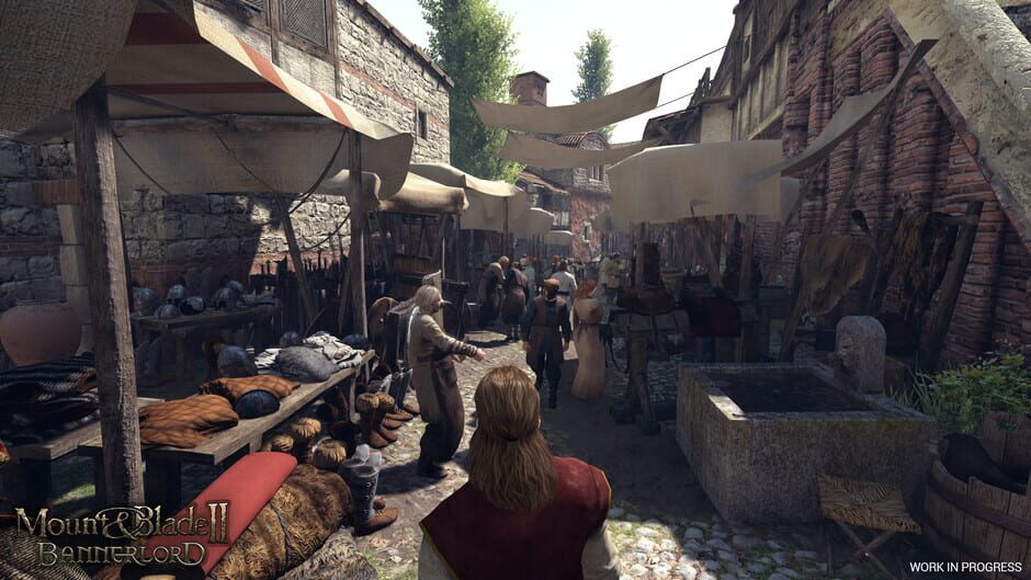 Capture de Mount & Blade II: Bannerlord