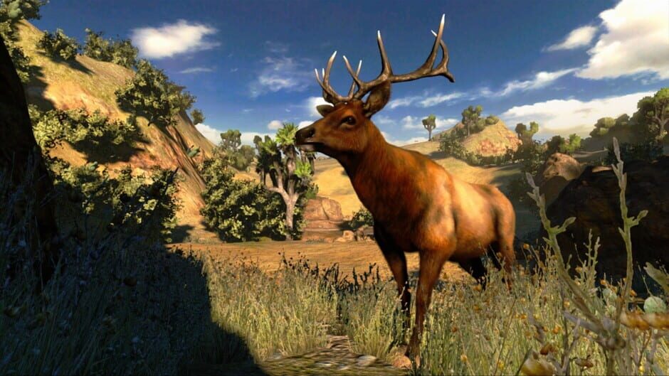 Capture de Cabela's Hunting Expeditions
