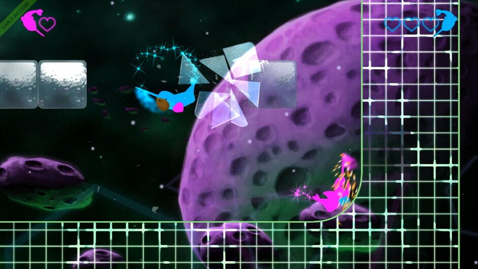 Capture de Starwhal