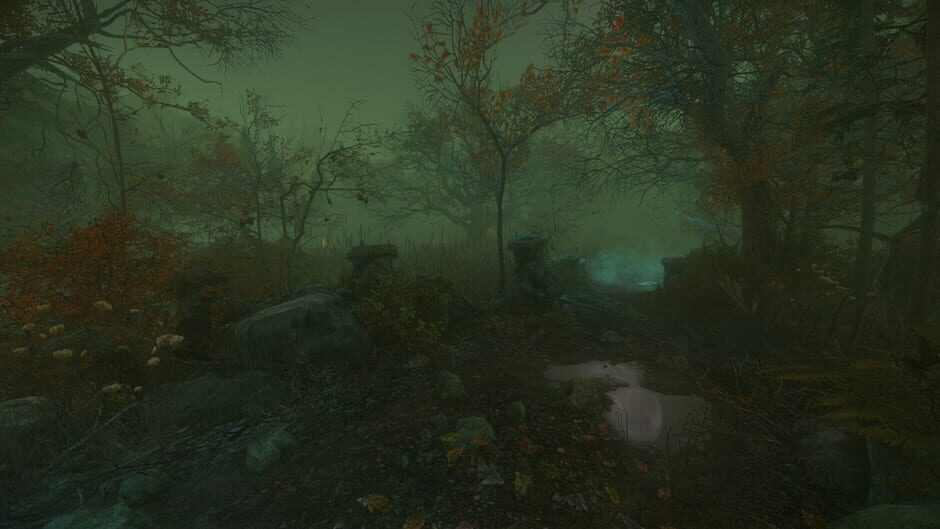 Capture de The Cursed Forest