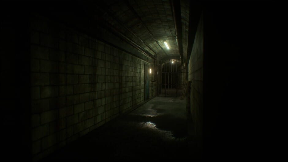 Capture de The Painscreek Killings