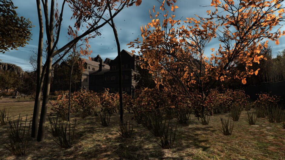 Capture de Pineview Drive