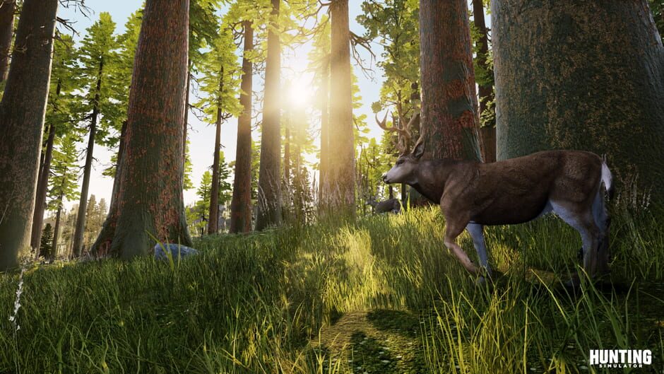 Capture de Hunting Simulator