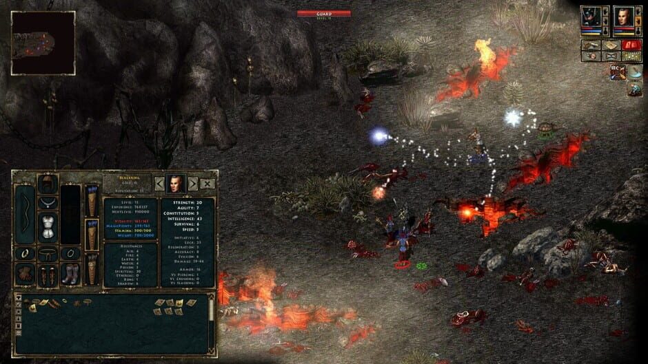 Capture de Beyond Divinity
