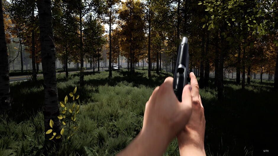 Capture de Mist Survival