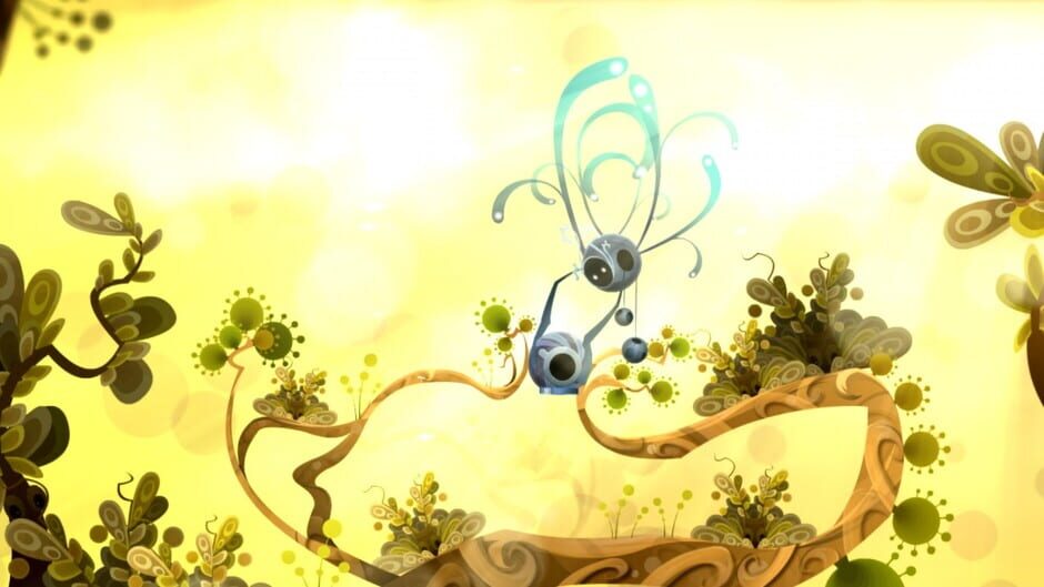 Capture de Fly'n