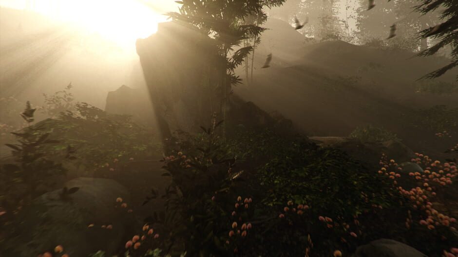 Capture de The Forest