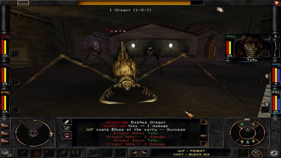 Capture de Wizardry 8