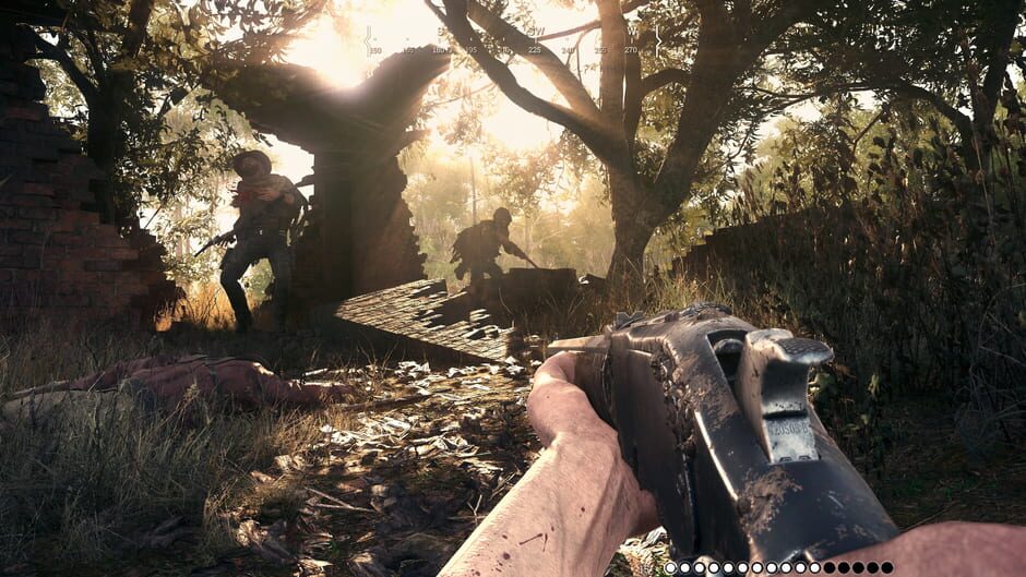 Capture de Hunt: Showdown 1896